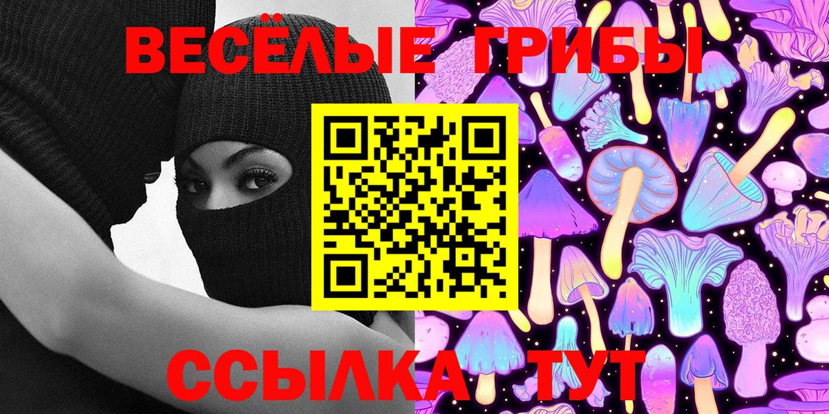 Псилоцибиновые грибы прущие грибы  Галлюциногенные грибы Psilocybine cubensis  Мелеуз  Вход с VPN 